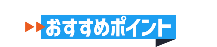 おすすめポイント